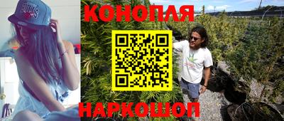 спиды Заводоуковск