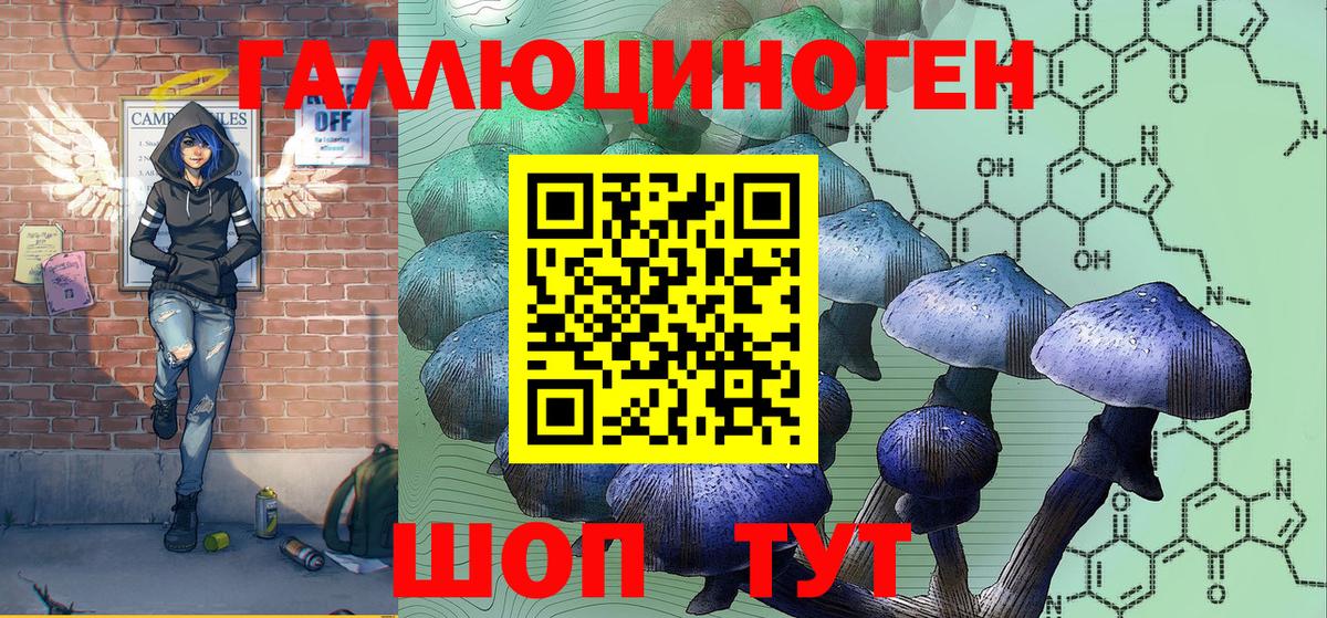 Псилоцибиновые грибы Psilocybine cubensis Люберцы